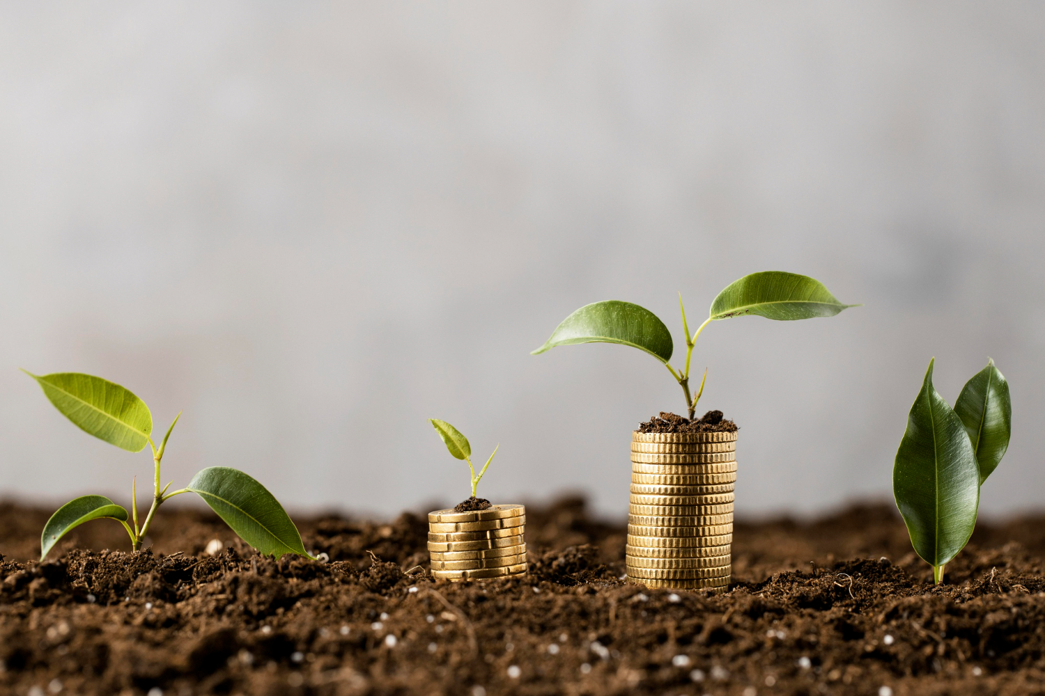 Financement par notre Partenaire financier